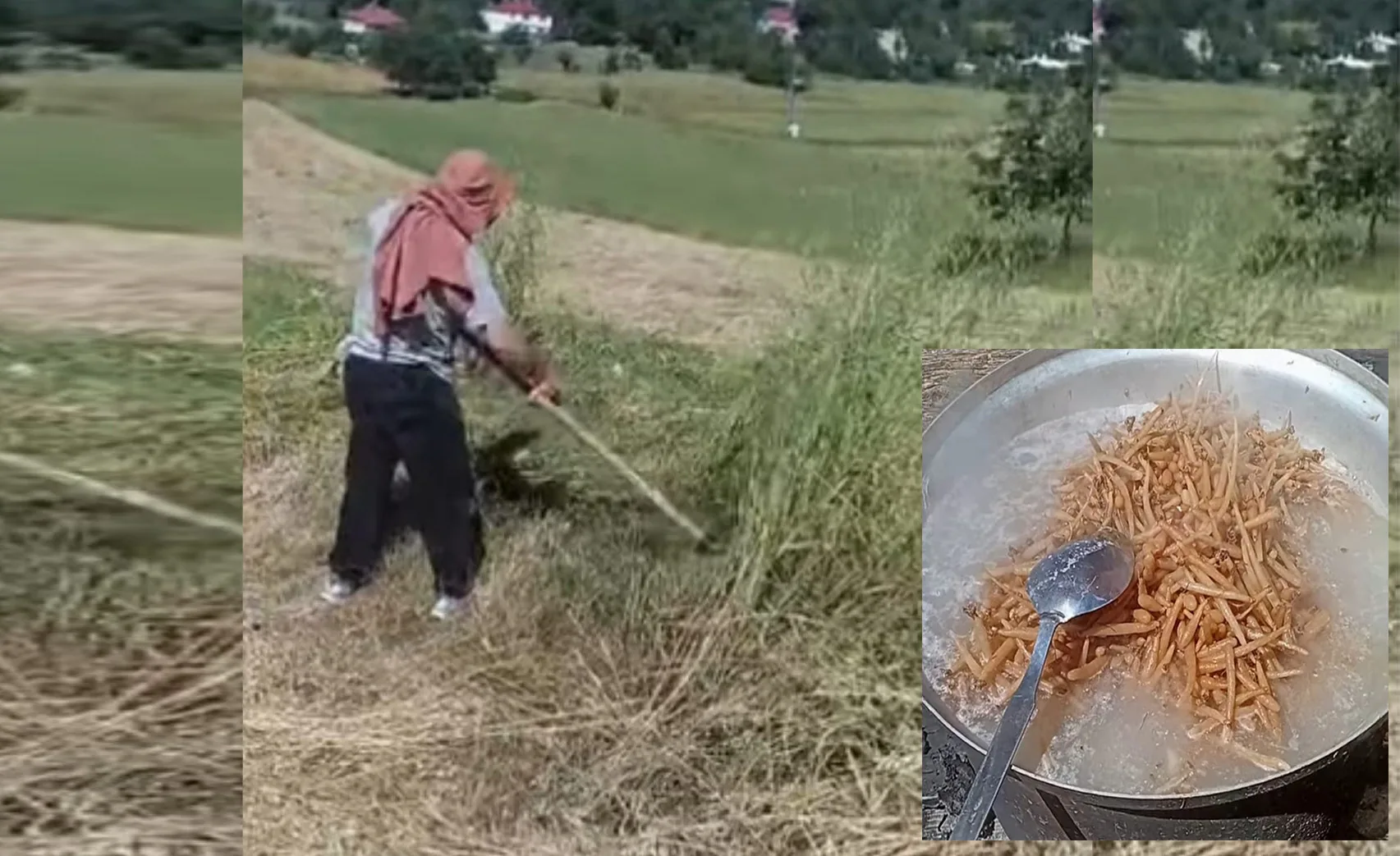 Andırın’da Yaz Mesaisi Başladı: Bir Yanda Tırpan, Diğer Yanda Salep Kazanları