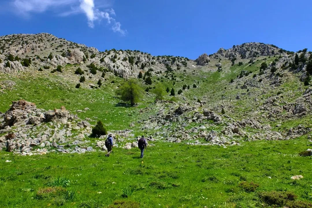 Doğa Meraklıları ve Göçerlerin Yeni Rotası: Gâvur Oluğu Yaylası Şenleniyor